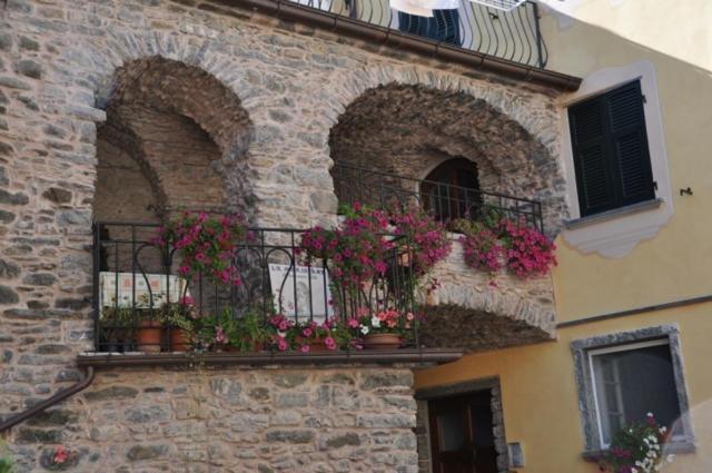 La Meridiana Casale Pignone Exterior foto